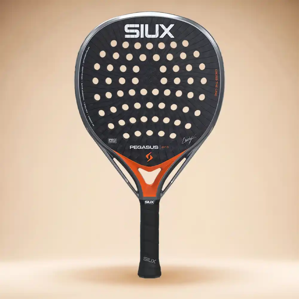 Siux Pegasus Pro 2026